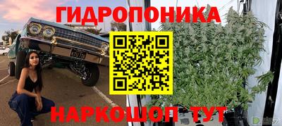 ешки Славгород
