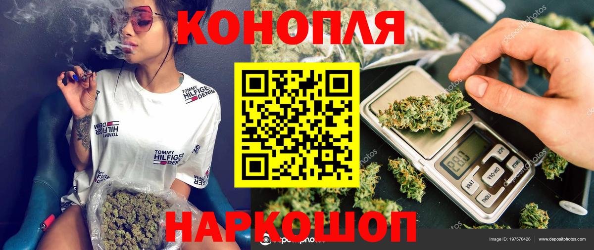 Бошки Шишки семена Прохладный